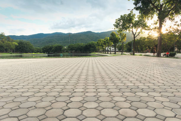Best Driveway Paving Near Me  in Box Elder, SD